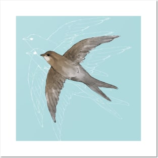 Common Swift in the air Posters and Art